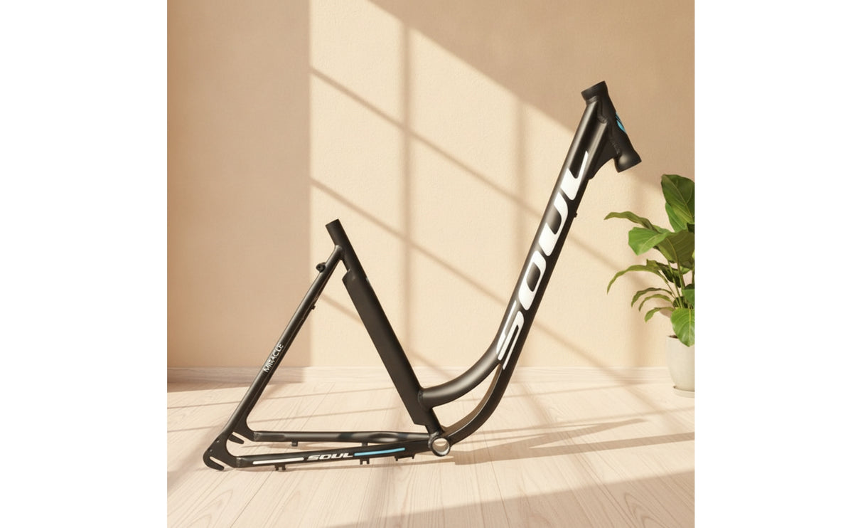 Lightweight Road Bike Frame with Internal Routing Long-Lasting Step-Through Frame Stable Step-Through Bike Ergonomic for Commuting