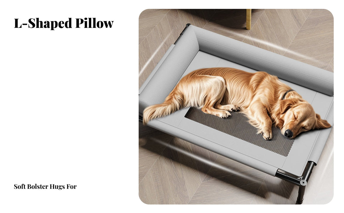 Raised Pet Bed Four-Season Use Raised Pet Cot Washable Cooling Mesh Dog Bed for Small Dogs, Cats, Summer, Patio, Camping