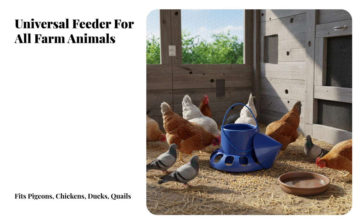 Hanging Pigeon Feeder Easy to Fill Spill-Resistant Avian Feeder for Backyard