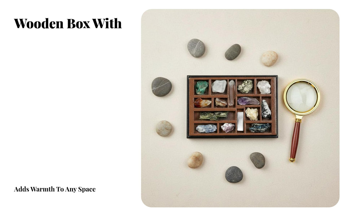 Unpolished Crystal Collection Set Includes Storage Solution Mineral Sample Box Unique Specimens Unpolished Stone Kit for Collectors, Kids, Home Decor