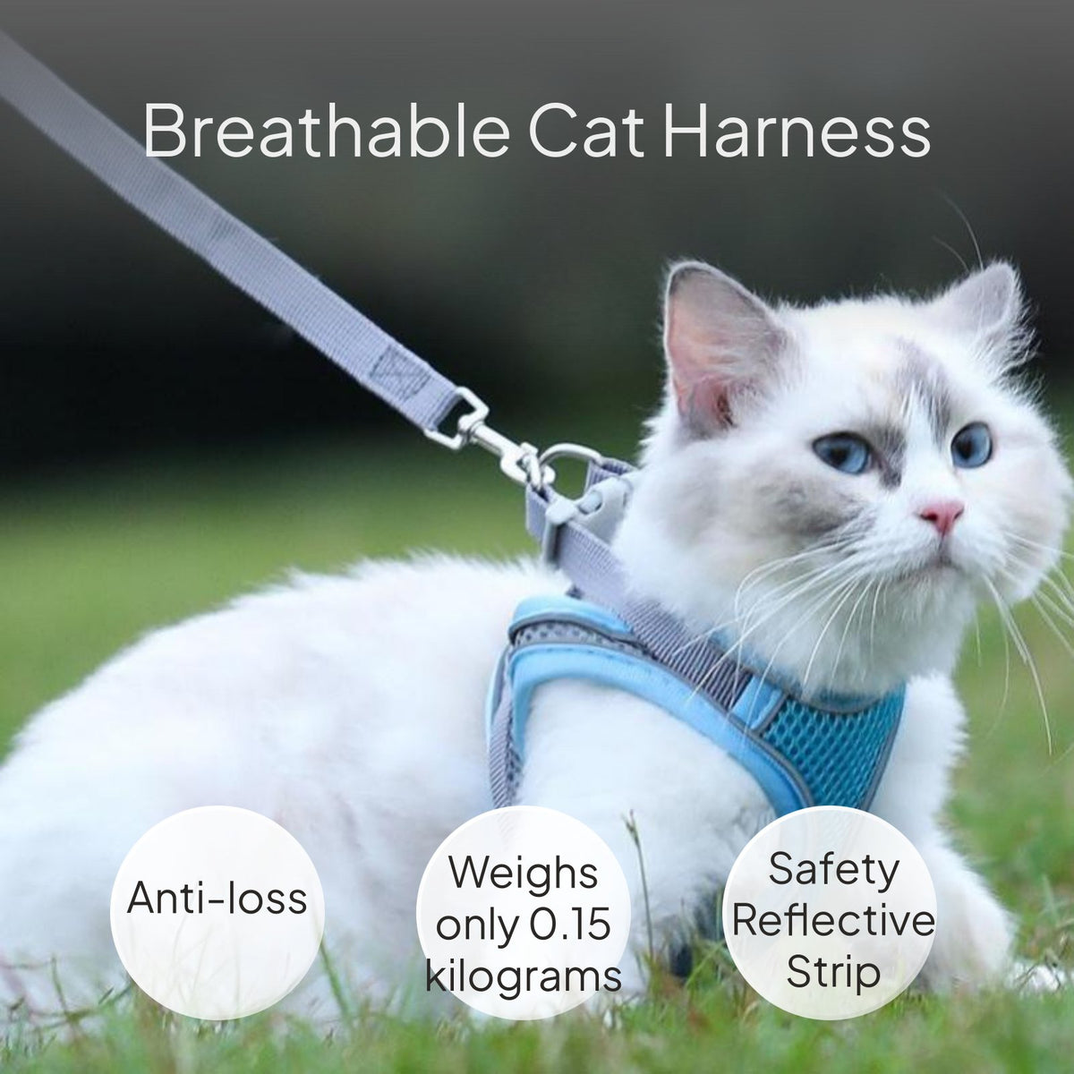 Breathable Cat Harness Leash Set, Reflective, Adjustable