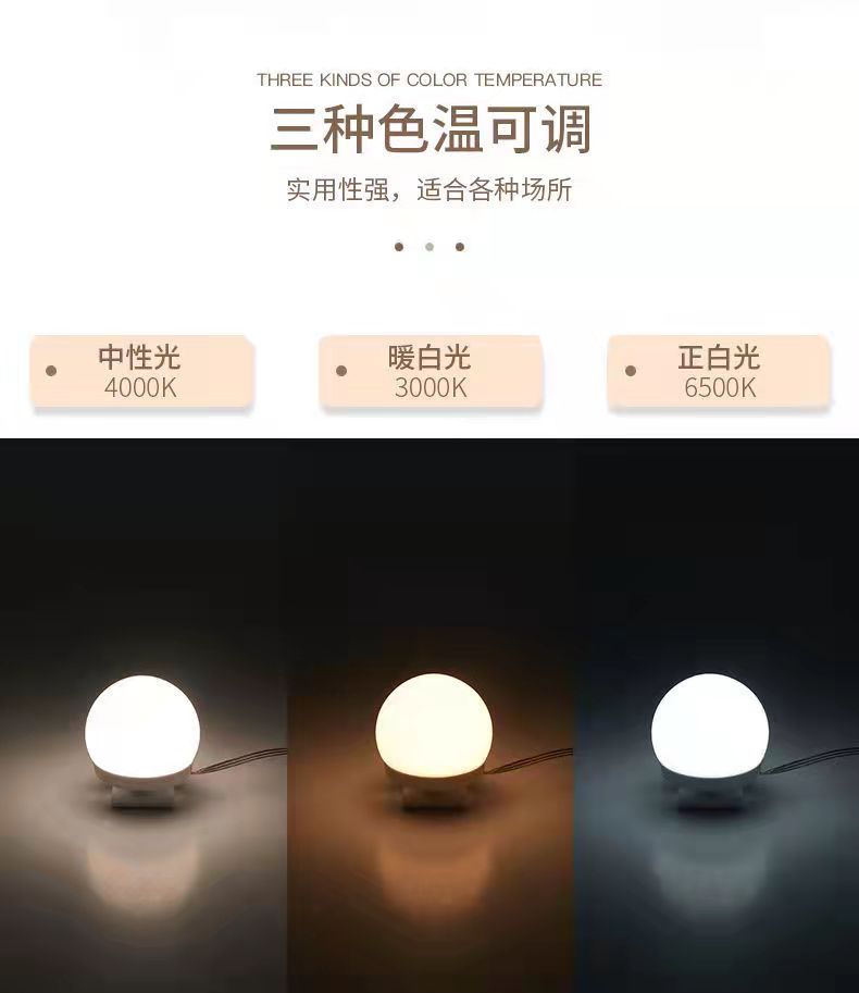 化妆灯镜前灯化妆镜前专用补光灯梳妆台灯USB灯免打孔布线镜子灯 12灯座三色无极调光