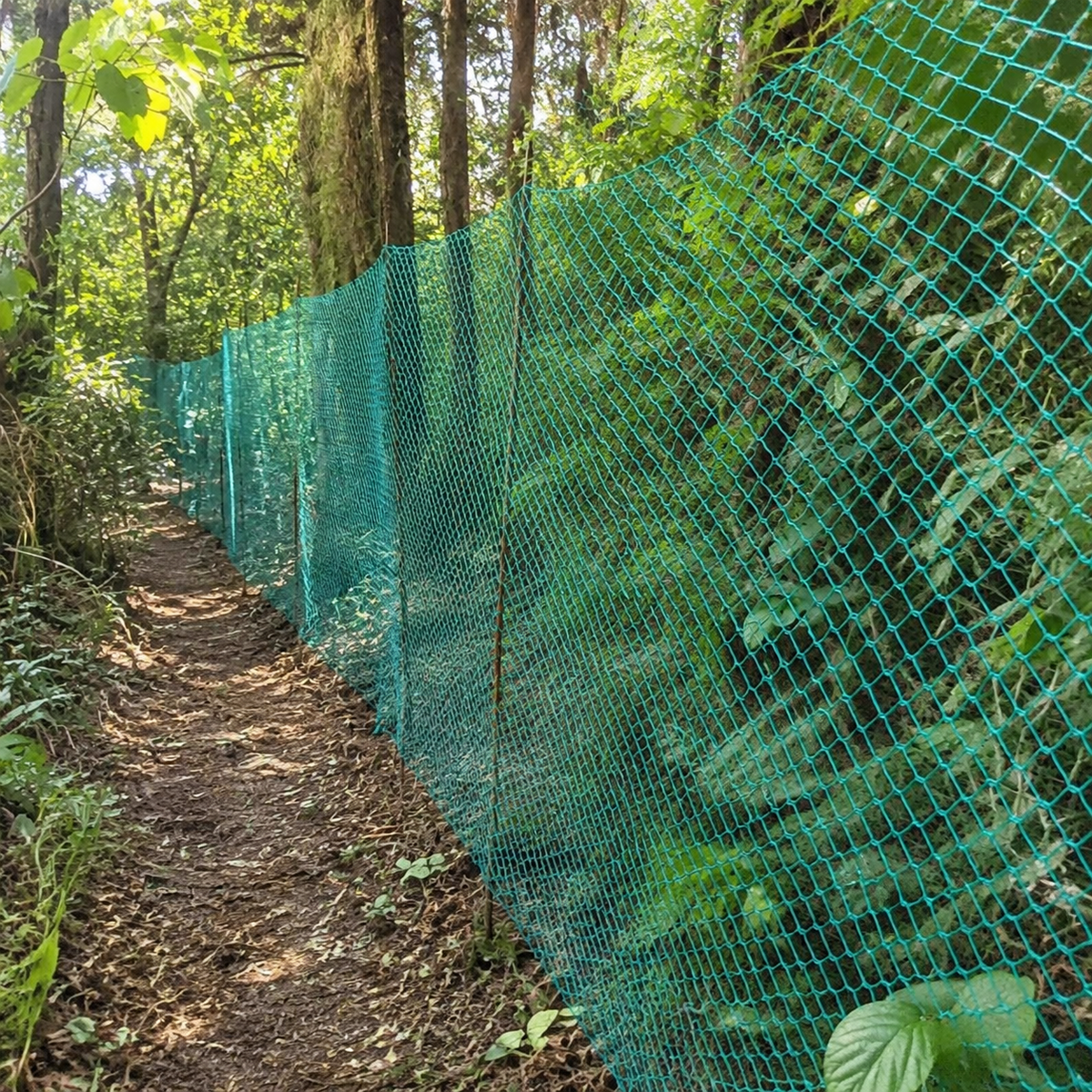 Insect-proof Net Animal Damage Control For Gardening Dark Green Fence Outdoor Animal Enclosure Polyethylene Flexible Material
