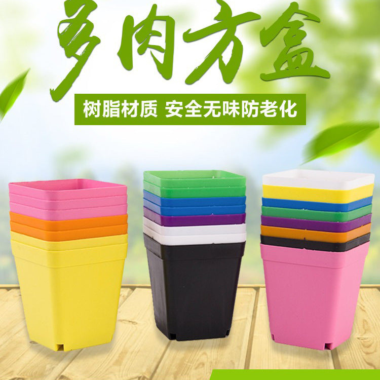 Succulent Plant Pots 10cm Plastic Nursery Pots with Colorful Planting Trays and Holders Set