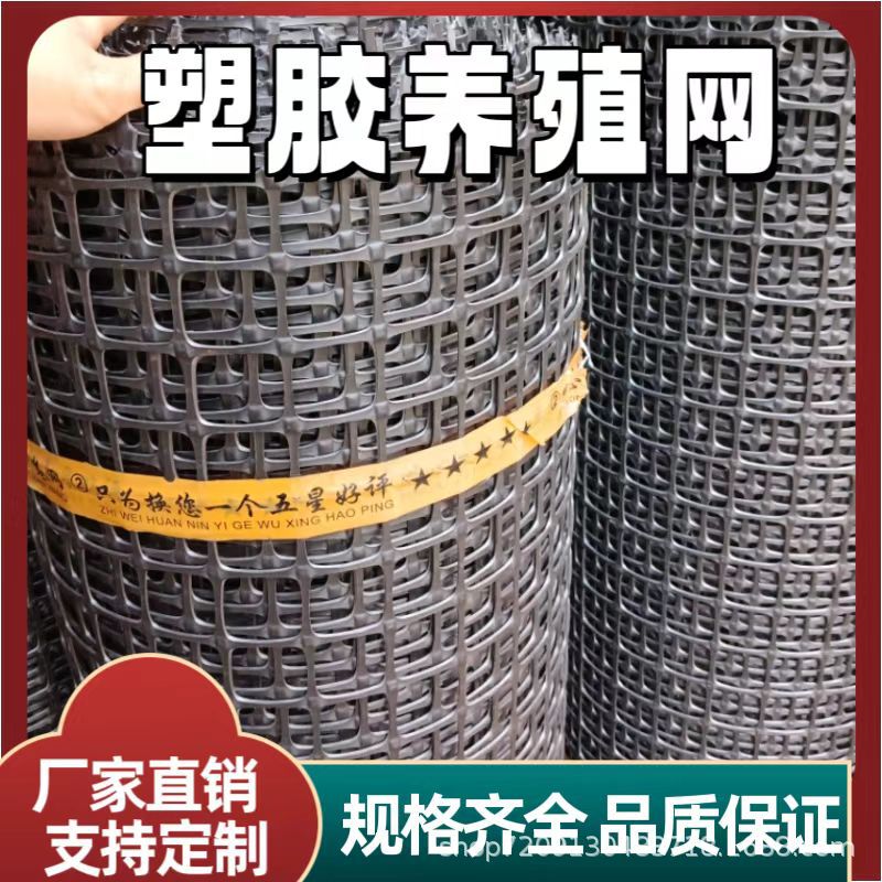 Plastic Poultry Fencing Mesh, Geogrid for Orchard and Fish Pond Protection, Duck and Goose Isolation Net, Corn Enclosure