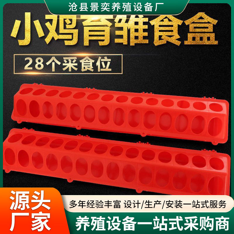 Chick Feeder Trough for Poultry, Chicken, Pigeon, Quail - Anti-Waste Food Dispenser