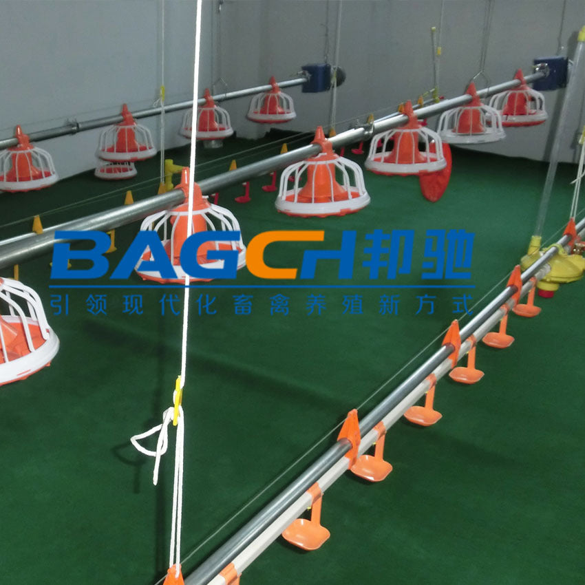 Bangchi Automatic Chicken Feeding System for Broilers - Pan Feeder and Square Pipe Water Line