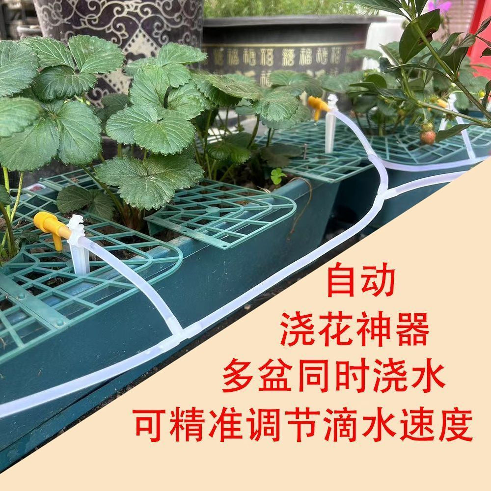 Strawberry Plant Support Frame Square Tray Stand Anti-Rotting Planter for Fruits and Green Plants Garden Support