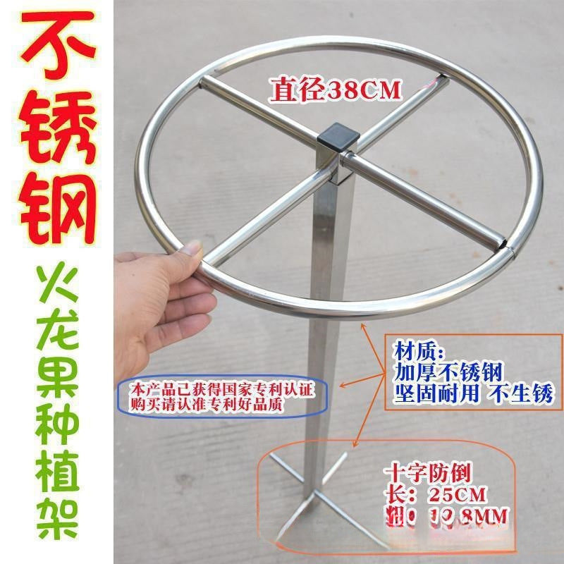Stainless Steel Plant Support Cage for Climbing Vines, Dragon Fruit, and Potted Plants - Ground-Mounted Trellis