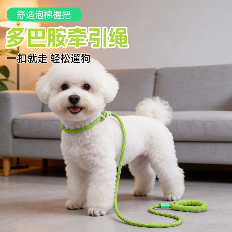 Pet Dog Leash for Small to Medium Dogs, Anti-Explosive Punch Training Leash, Outdoor Walking Rope
