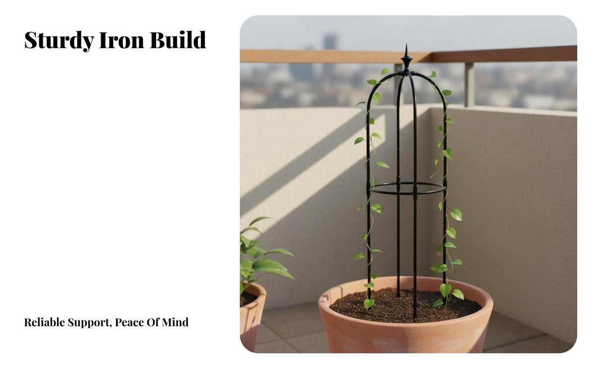Climbing Plant Support Frame Easy Assembly Potted Plant Climbing Frame Blooming Climber Support Frame Sturdy Duty Metal Blooming