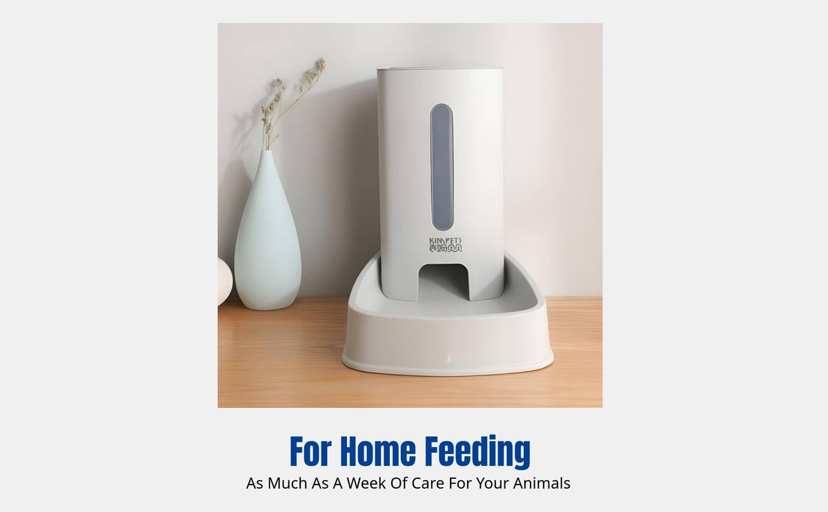 Cat Bowl, Double Feeder for Cats and Dogs, Anti-Spill, Neck Care, Auto Water Dispenser