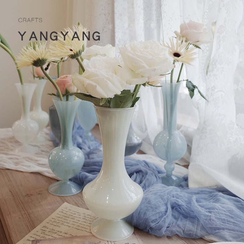 Nordic Style Creative Glass Vase for Living Room Decor and Flower Arrangement