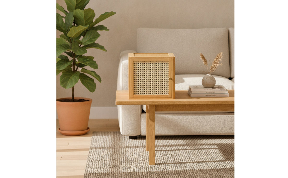Cabinet with Cane Front Modular Stackable Storage Cabinet Rattan Stackable Storage Unit for Small Areas, Living Room, Study