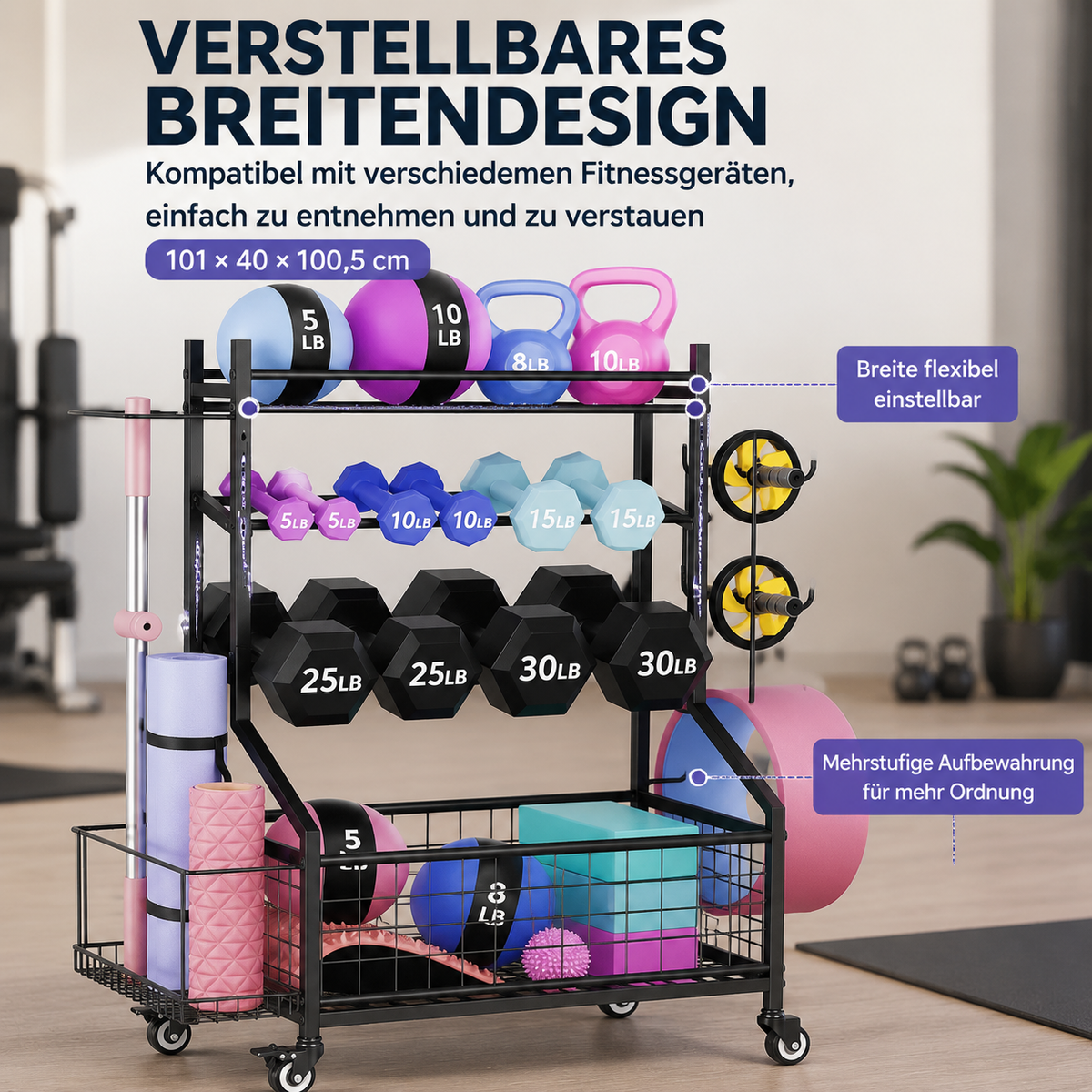 fitness equipment storage rack