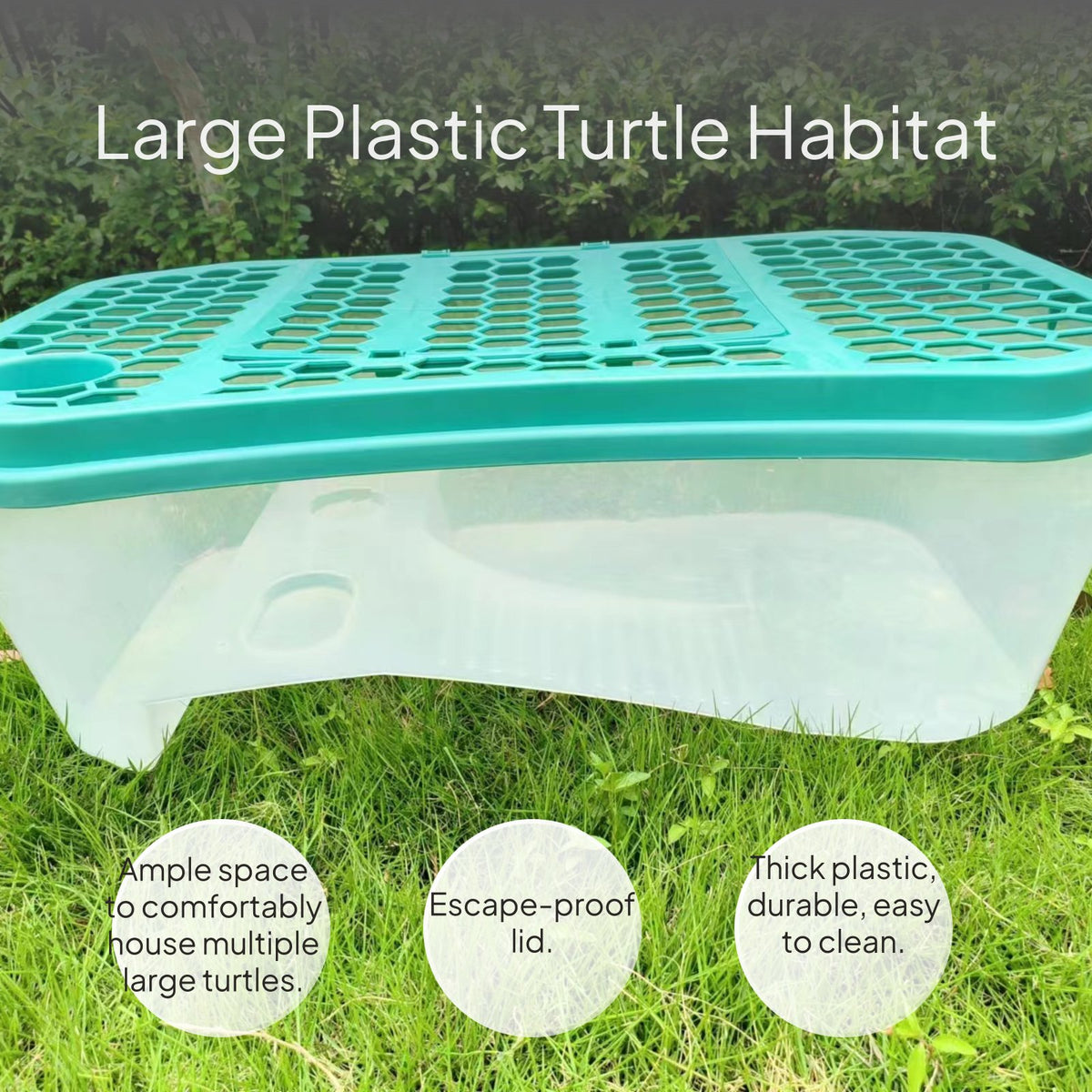 Large Plastic Turtle Habitat with Lid, Drainage, Anti-Escape
