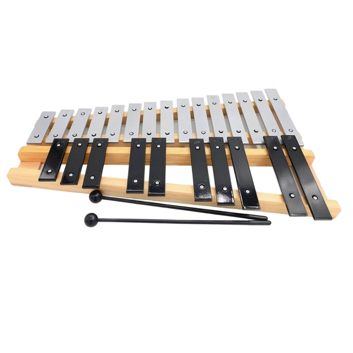 25 Note Xylophone Classroom-Friendly Xylophone with Carry Case Glockenspiel with Carrying Bag for Kids, Beginners