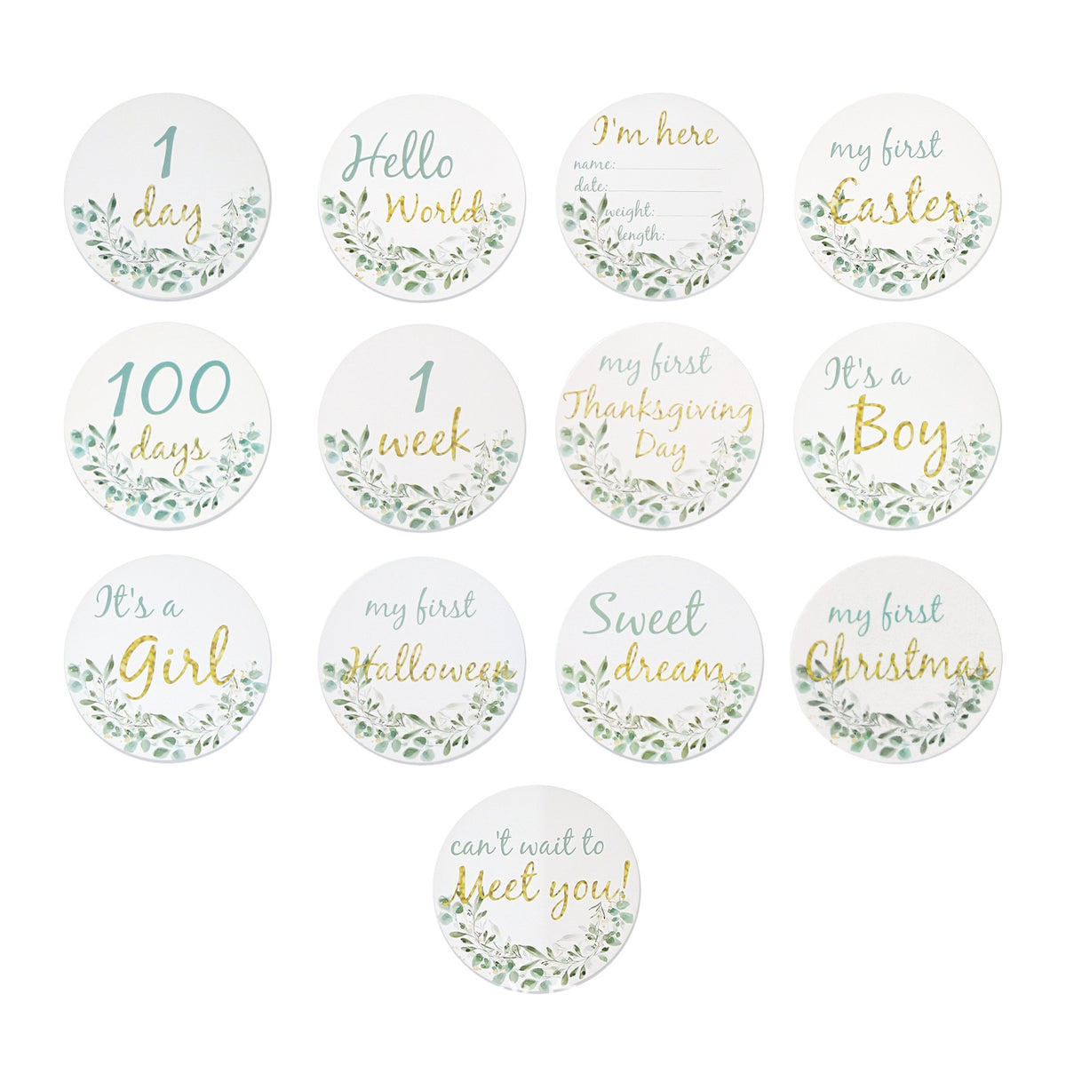 13 Pieces Monthly Developmental Discs Baby Developmental Discs Botanical