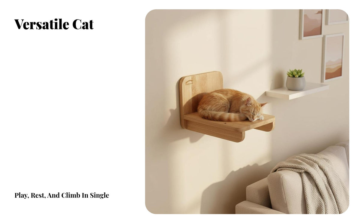toolwithout damage installation Suction mount glass feline storage areaSaving Pet platform Elevated Viewing lofelineion for Apartment Dwellers, Glass Surfaces, glass panels, Living Room, Balcony Doors