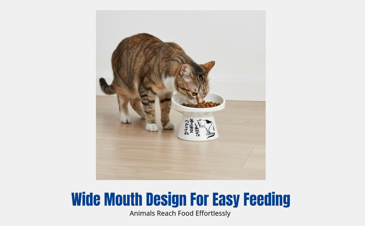 Ceramic Cat Bowl, Tilted Neck Protection, Cartoon Design, for Cats and Dogs