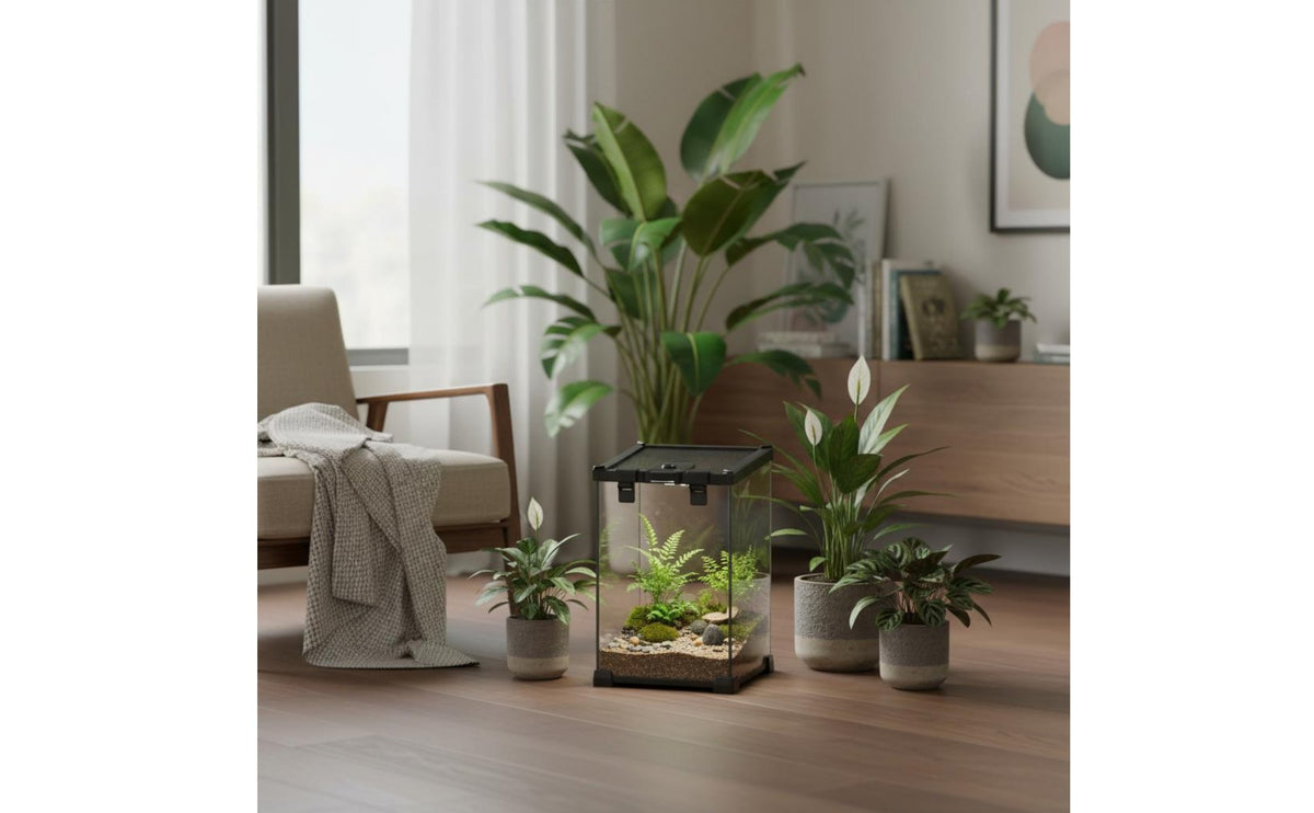 Warm-Climate Vivarium Ventilated Amphibious Amphibian Habitat Amphibious Pet Enclosure Feeding Hole Gecko Turtle Enclosure Easy