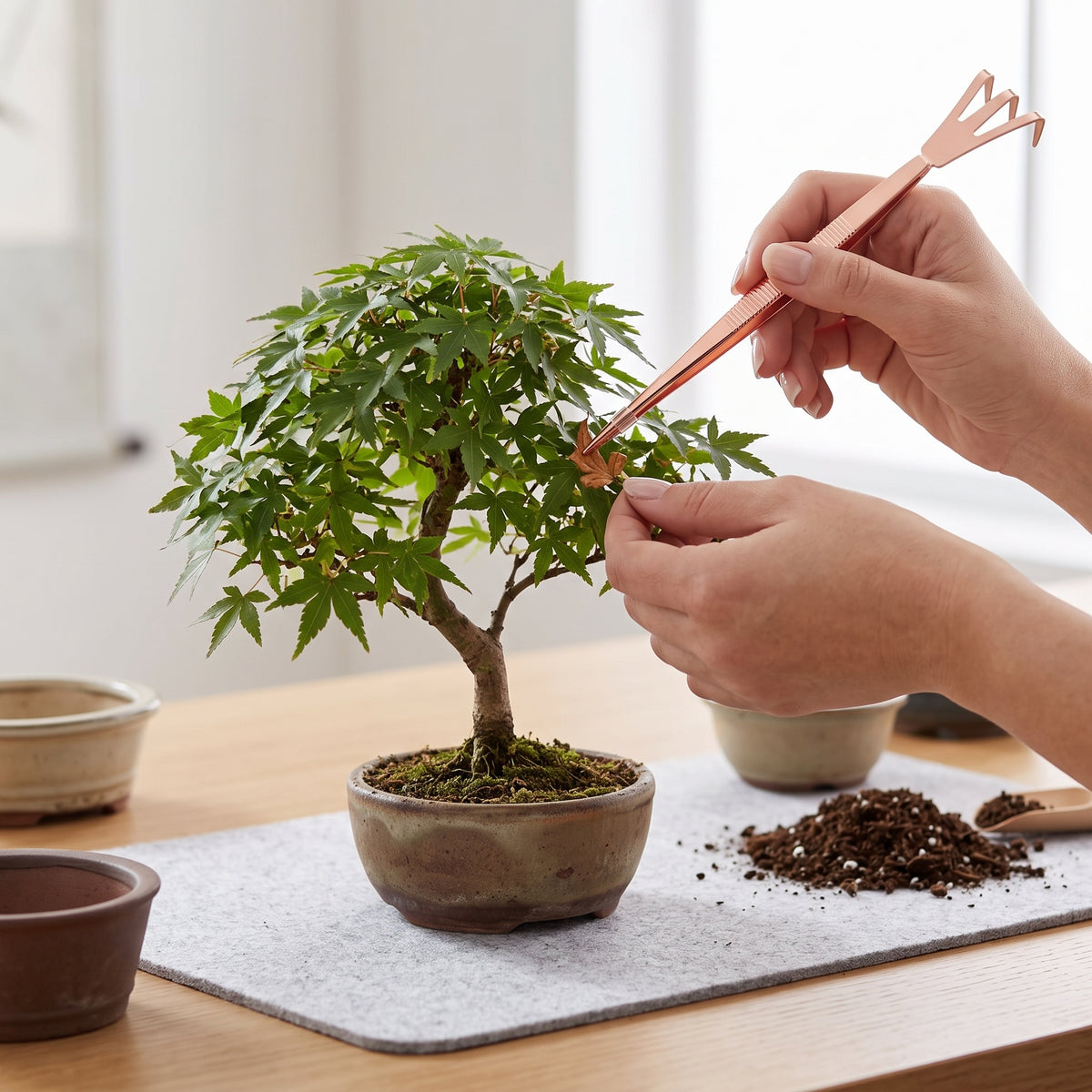 Mini Bonsai Rake and Trowel Set for Potted Plants