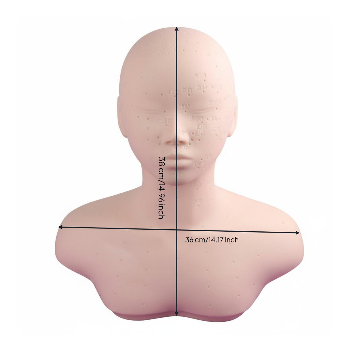 Realistic Skin Feel Acupressure Point Practice Model Soft Material Manikin Head Shoulder Bust Professional Grade for Students, Beauty School