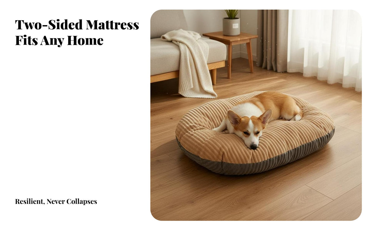 Soft Dog Ing Mat Removable Cover Washable Dog Bed Four-Season Use Soft Cat Cushion for Young Dogs, Kittens, Indoors, On the Floor, Living Room