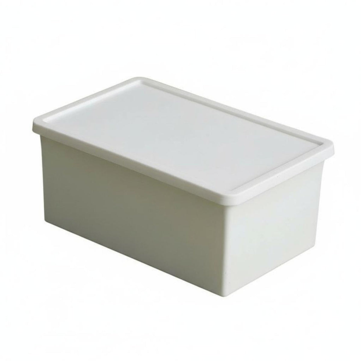 Compartment Container with Dividers transparent Design Lidded Compartment organizer