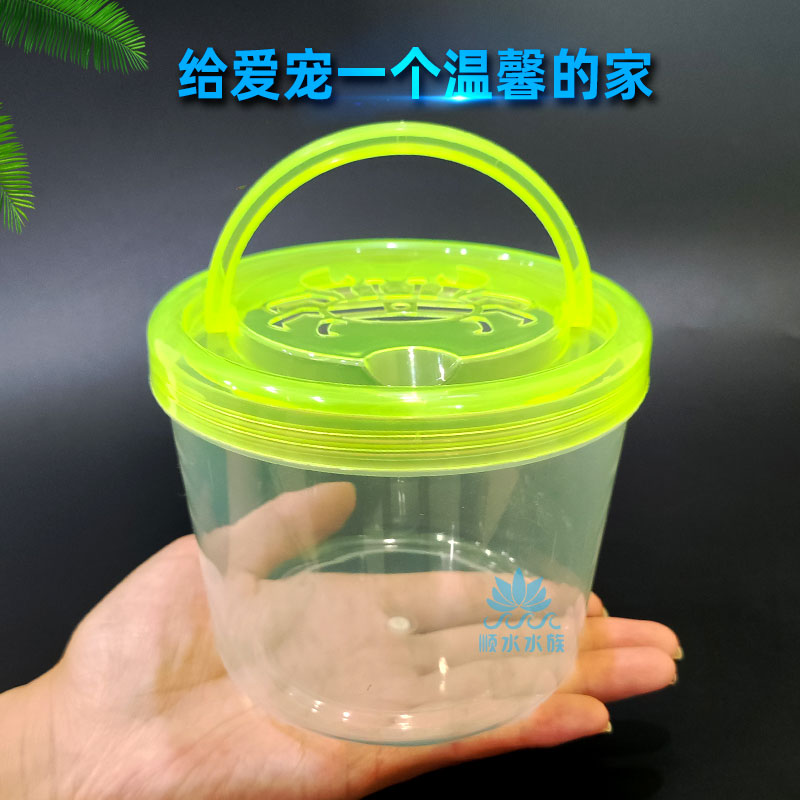 儿童摆摊手提小鱼瓶乌龟瓶透气宠物盒斗鱼杯耐摔蟹桶捞鱼桶乌龟盒