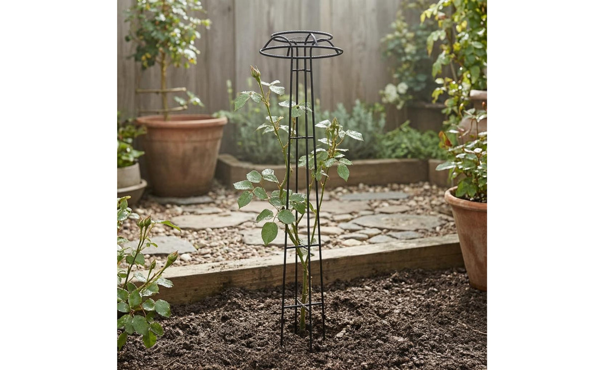 Tall Fungus Top Trellis Cross Braces Metal Climbing Trellis Tapered Frame Garden Structure Decorative Design for Courtyard