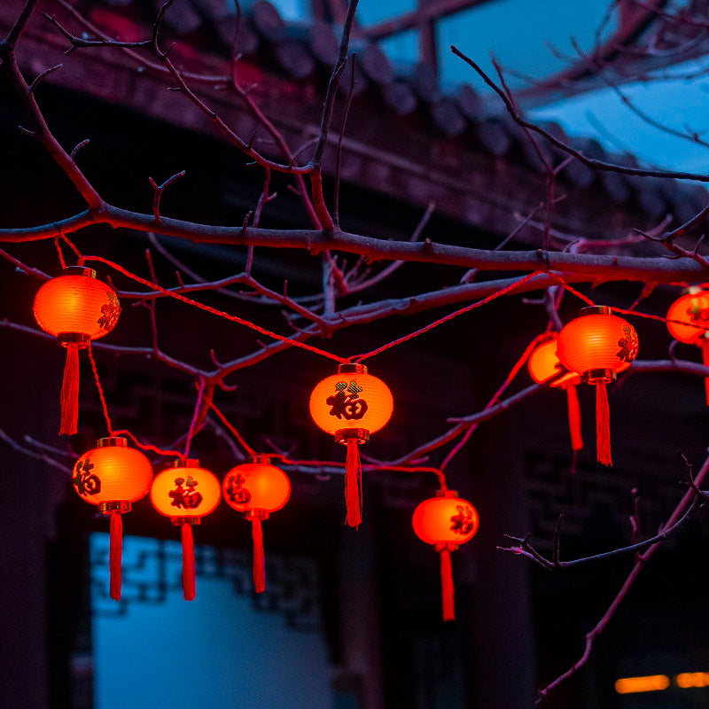 挂树福字小红灯笼过年装饰小彩灯防水灯串春节日氛围灯挂树柿子串