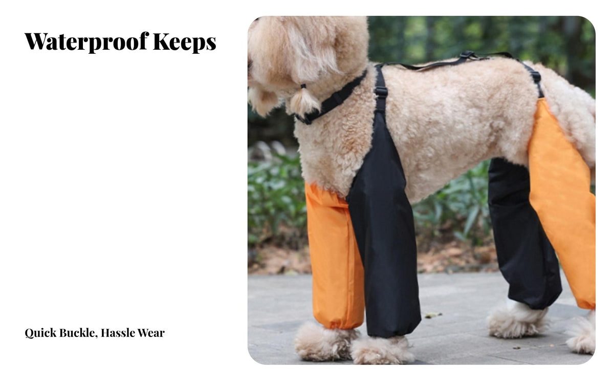 Dog Leg Protector Pants Wear-Resistant Water Resistant Dog Leg Sleeves Resistant for Rainy Days, Outdoors, Toilet Outings