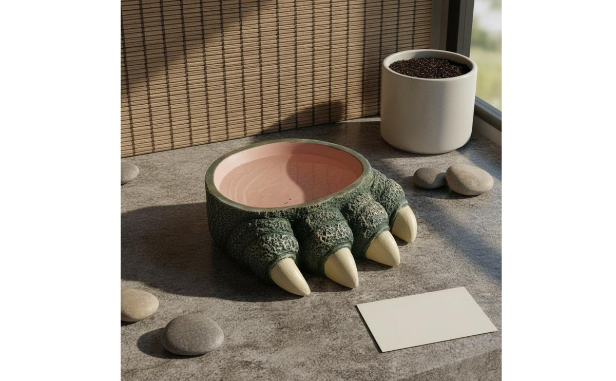 Reptile Talon Bowl Not Easily Tipped Over Amphibian Food Water Bowl Amphibian Water Dish Even Interior Surface Terrarium