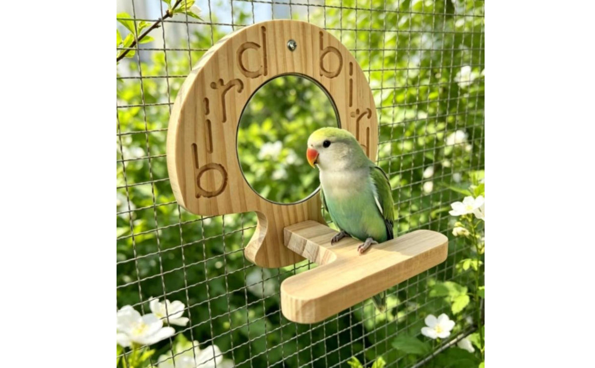 Natural Wood Parakeet Mirror Stand Engraved Cutouts Bird Perch Mirror Smooth Finish Wooden Bird Perch Rounded Top