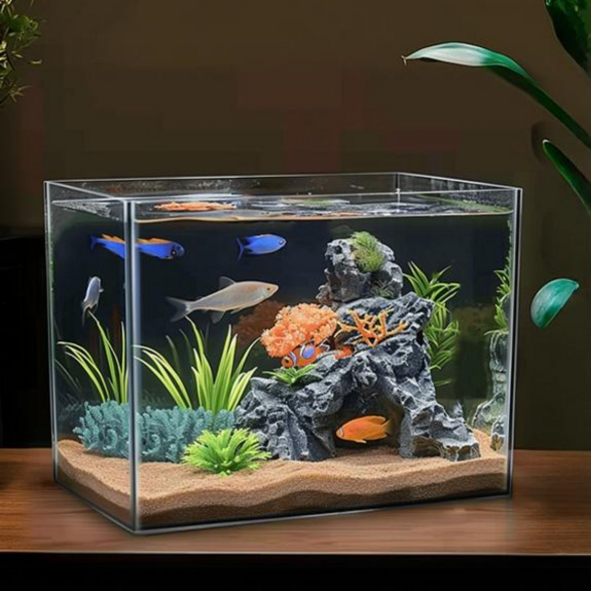 Mini Desktop Aquarium with Lid, Filtration, Oxygenation