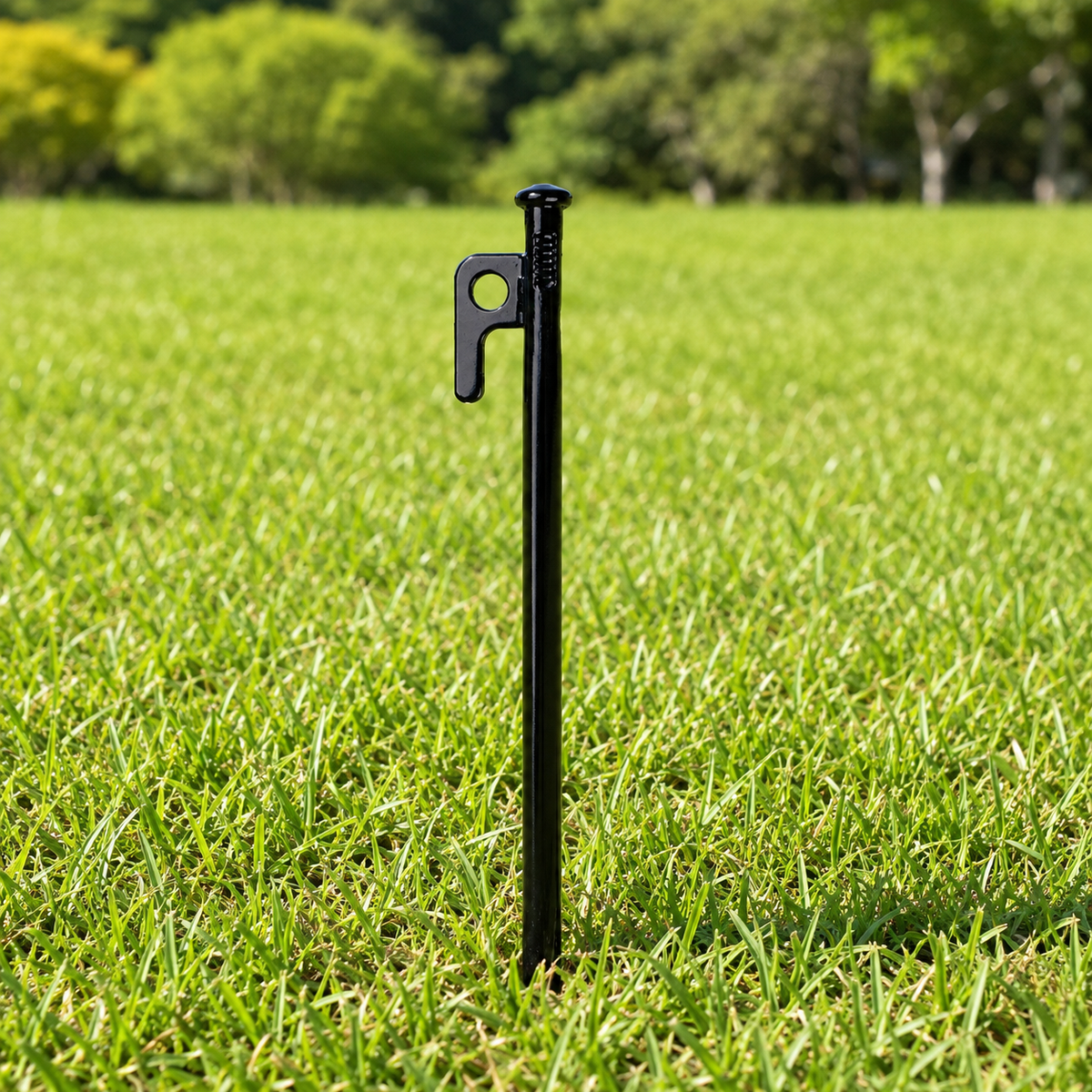 tent stakes
