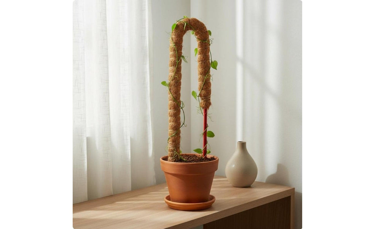 Adjustable Climbing Pole Coconut Fiber Coir Plant Pole Handmade Climbing Plant Support Stake for Indoor, Balcony