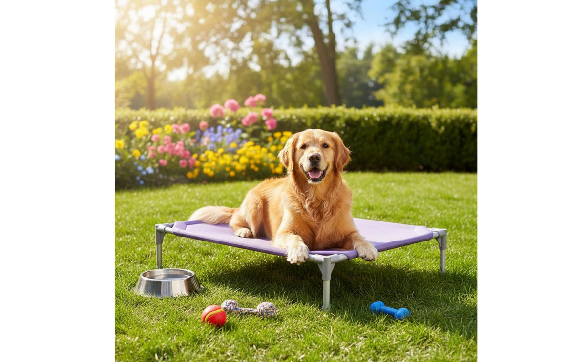 Raised Pet Bed Washable Raised Pet Cot off Ground Breathable Dog Cot for Medium and Large Dogs, Outdoor, Indoor