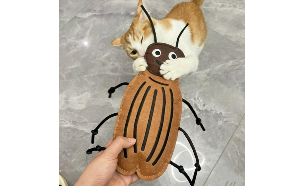 Cockroach Kitten Toy Stitched Felt Bug Toy Stuffed Kitten Teaser Cartoon Eyes Cord Antennae for Kittens