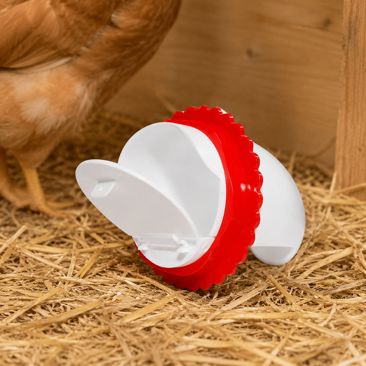 Automatic Chicken Feeder, Poultry Feed Dispenser for Smallholding & Hobby Farmers, Chick Feeder, Outdoor Animal Feed