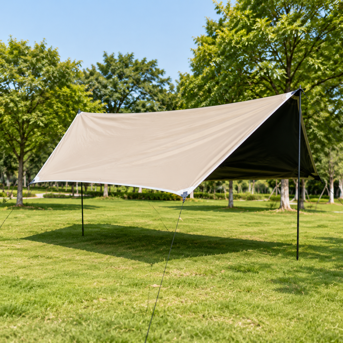 tarp