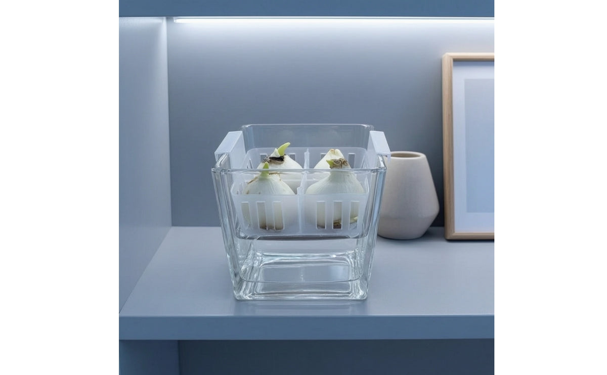 Crystal Clear Hydroponic Flower Planter Protects Roots Glass Bulb Forcing Vase Heat Resistant Water Planting Pot with Basket Inexpensive Replacement for Desktop