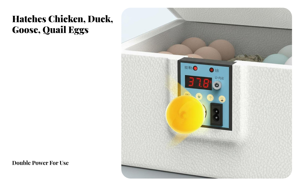 Water Bed Egg Hatchery Constant Temperature Small Egg Hatcher Air Circulation System Household Fowl Hatchery for Hobbyists, Beginners, Classroom