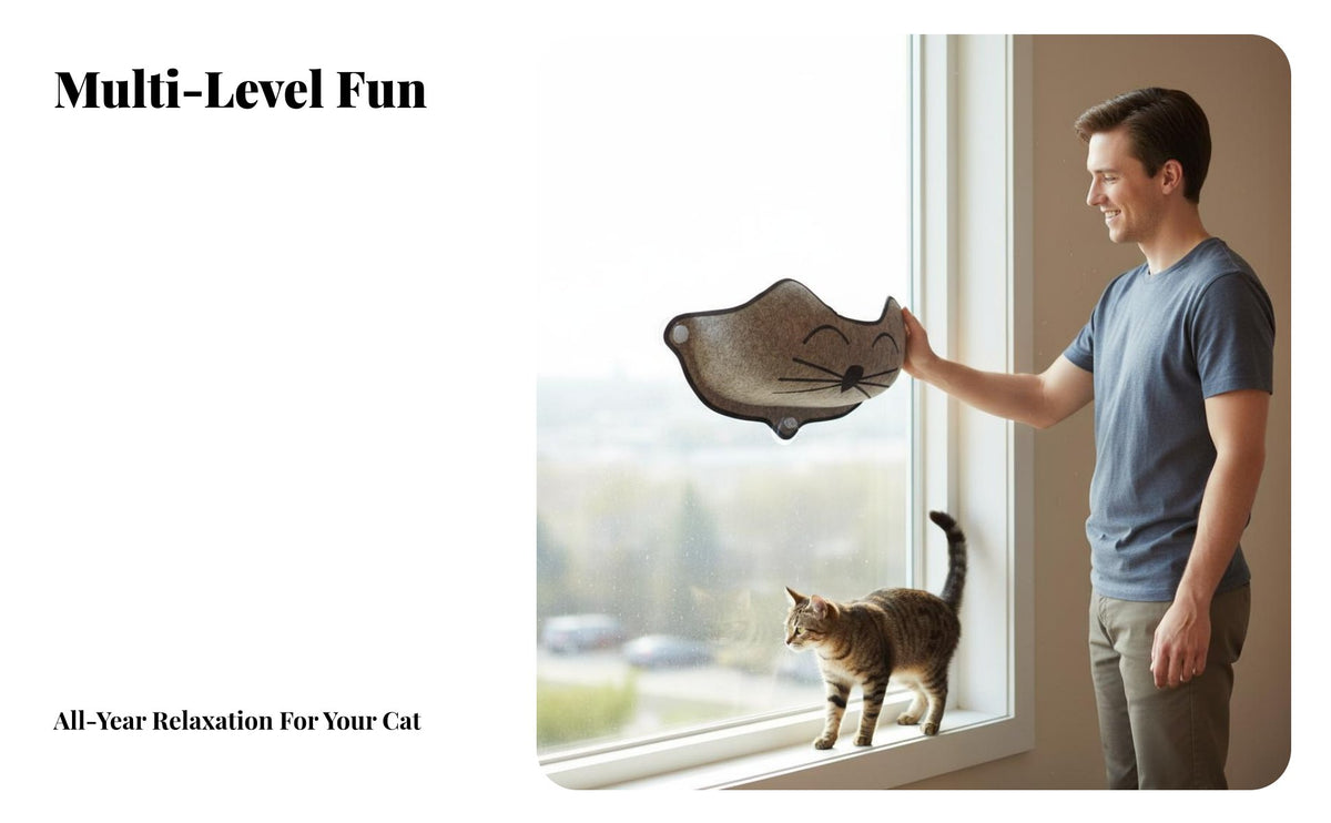 Door Mounted Feline Perch All Seasons Use Multi-Level Cat Perch Sturdy for Apartment Dwellers, Small Areas, Indoors, Living Room