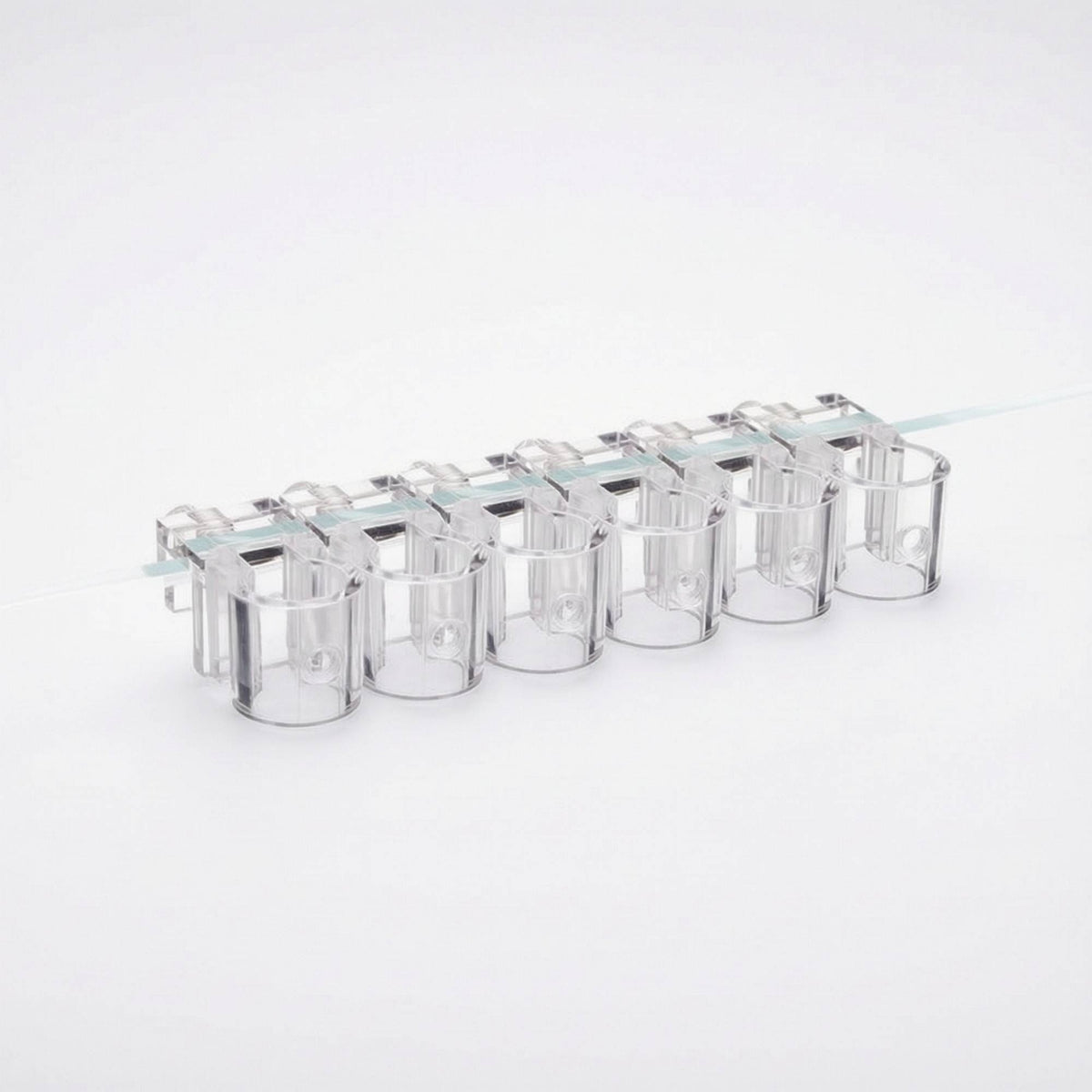 6 Pieces Aquarium Planter Clear Aquarium Plant Clip Hydroponic Support Clip with Screws Transparent for Aquarists, Aquariums