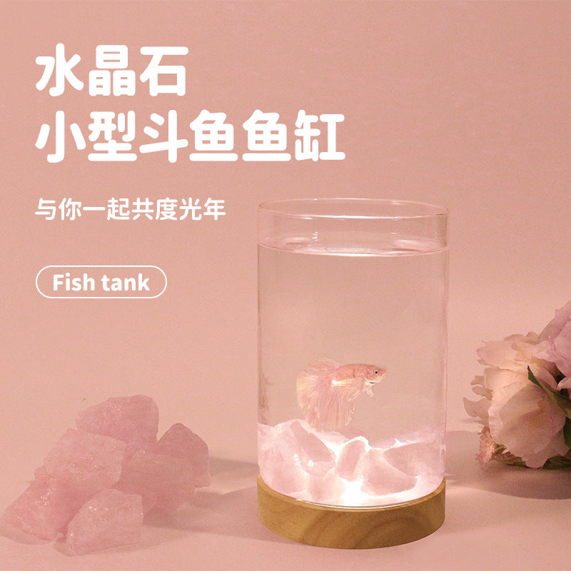 Crystal Stone Betta Fish Tank with Night Light, Small Desktop Micro-Landscape Aquarium