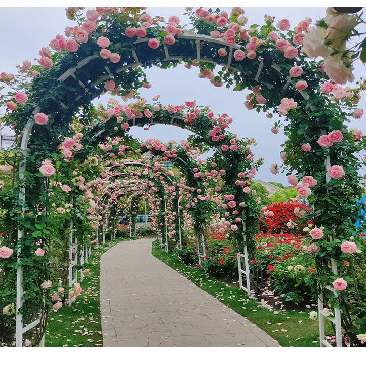 European Iron Art Archway Trellis for Climbing Plants Outdoor Garden Rose Arch Support