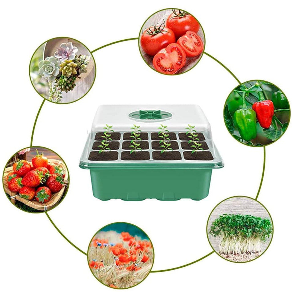 Seedling Starter Tray Kit with High Dome Lid, 12-Cell Greenhouse Grow Box for Germination