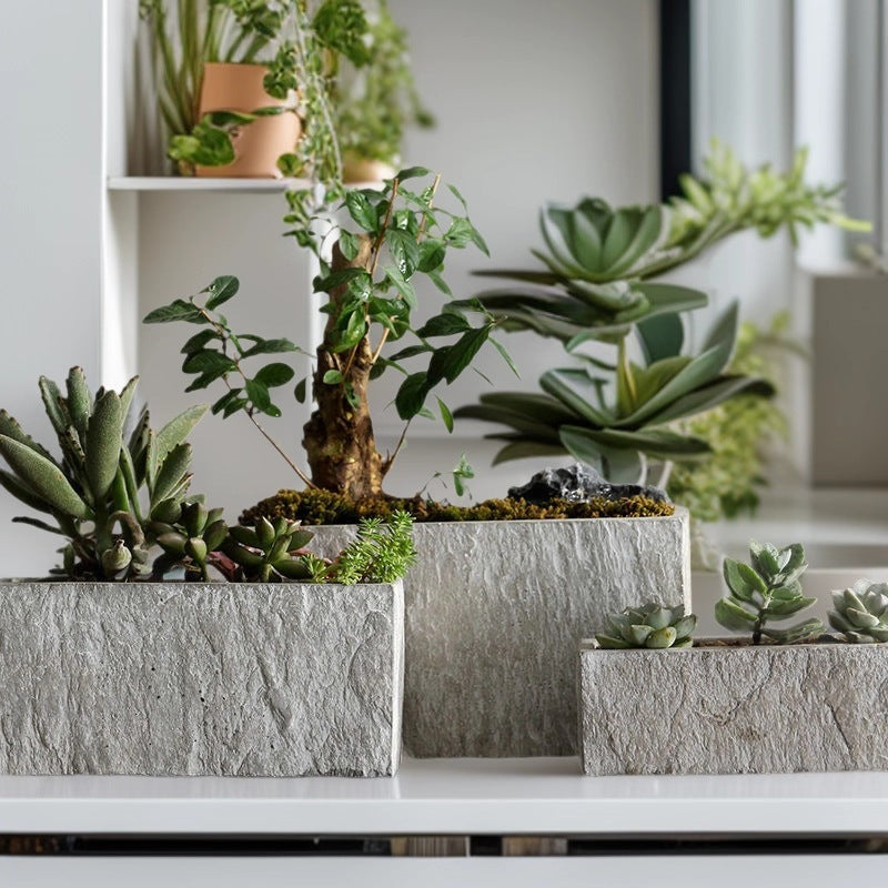 Rectangular Cement Planter for Indoor Plants, Succulents, and Hydroponics